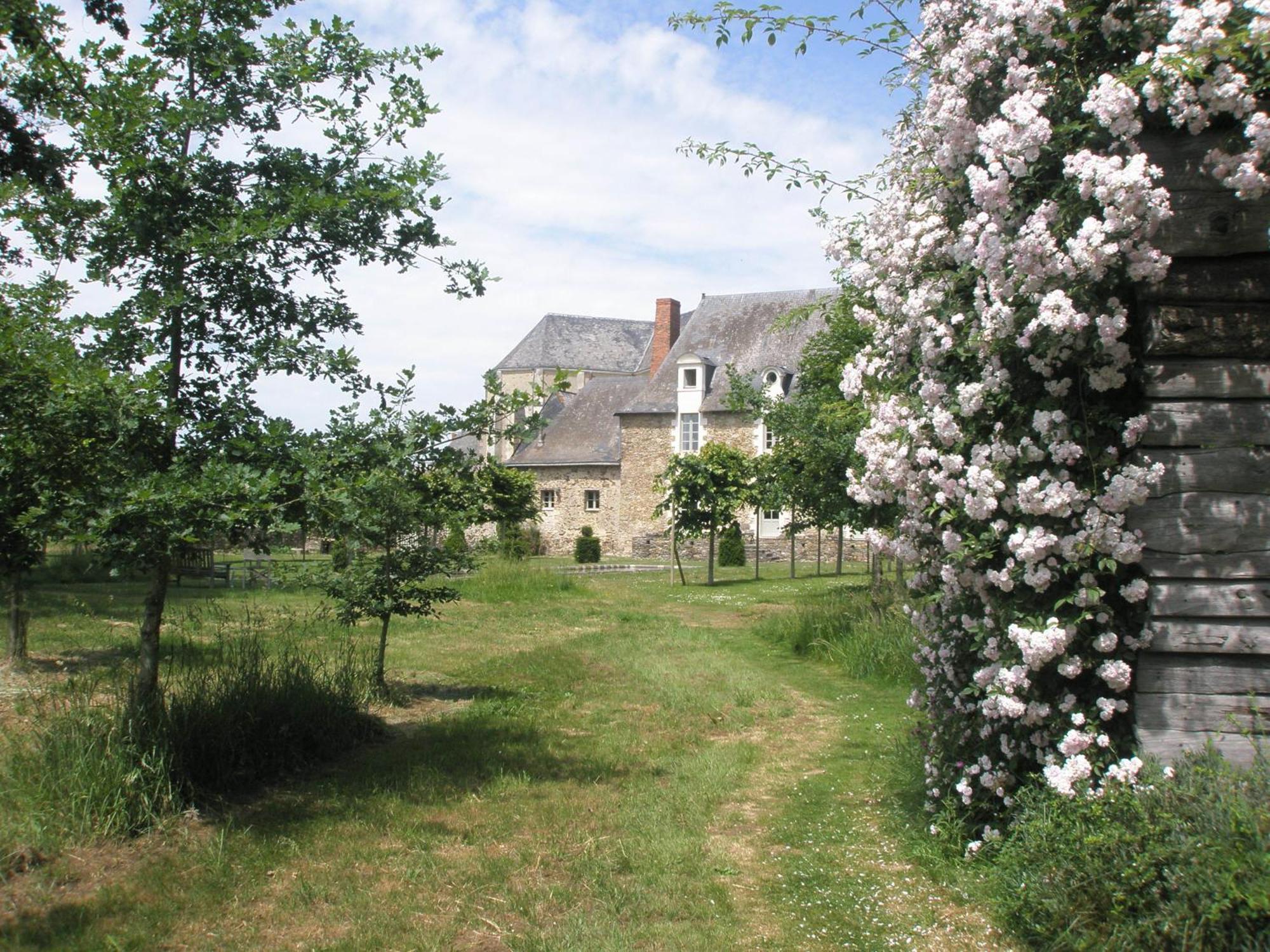 Bed and Breakfast Grange Du Plessis Segré Zewnętrze zdjęcie
