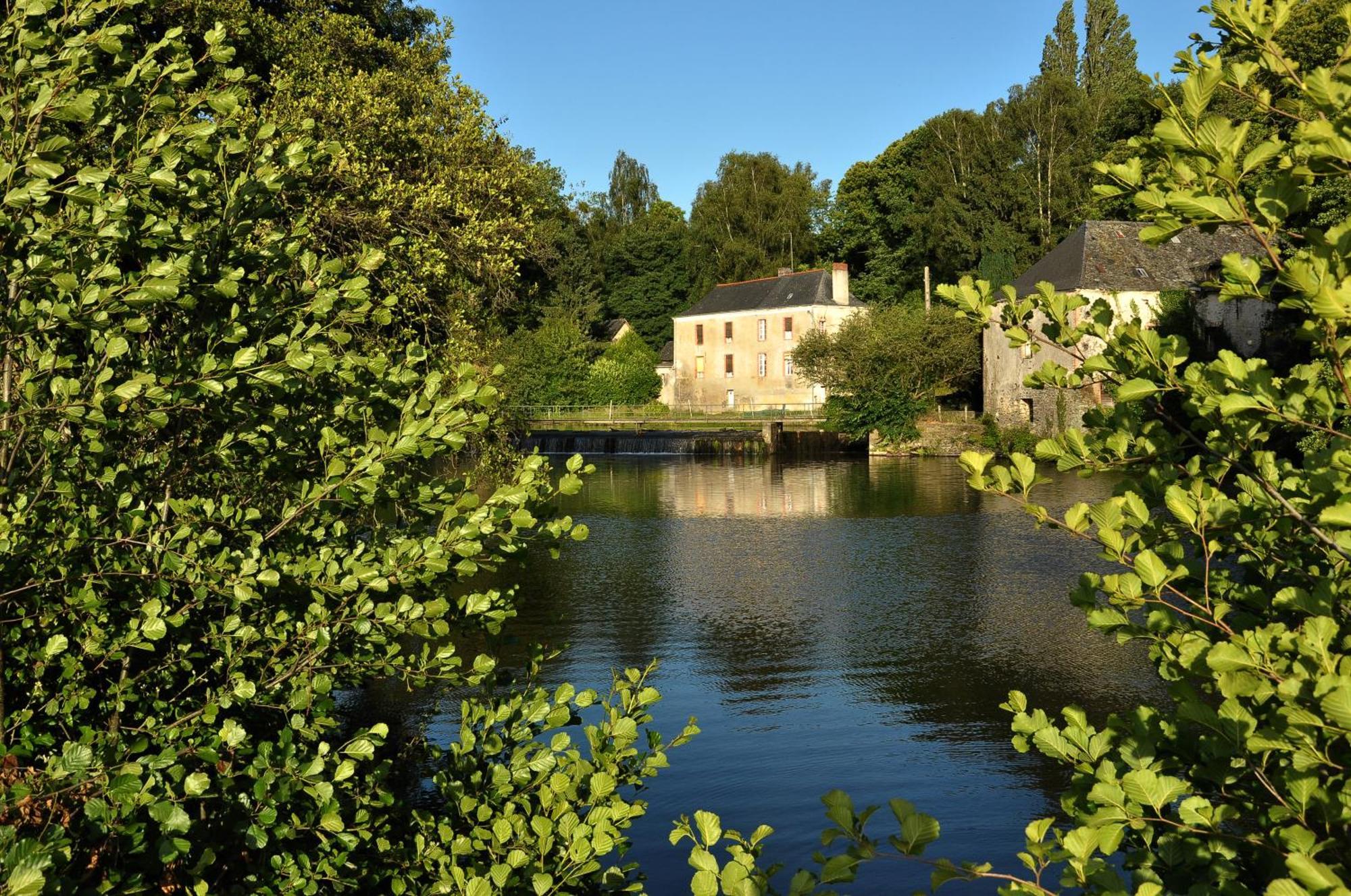 Bed and Breakfast Grange Du Plessis Segré Zewnętrze zdjęcie